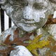 Illustration for article titled Shooting Challenge: Fall Leaves Gallery